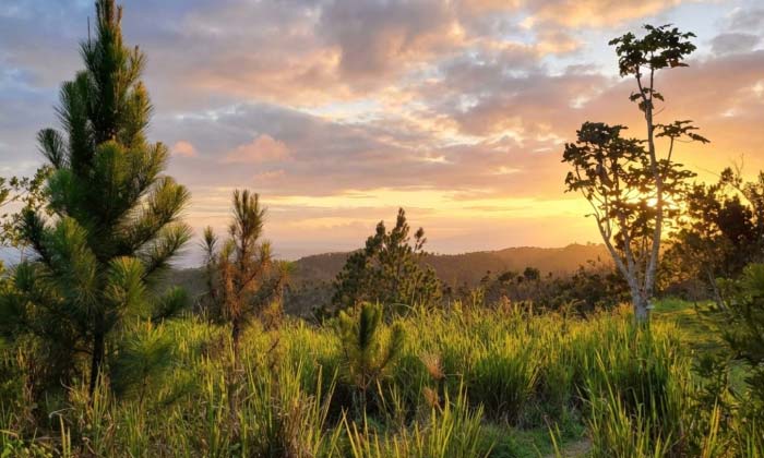 Formación rocosa con forma de gato en Monte El Gato