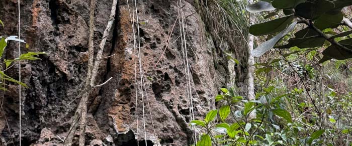 Formación rocosa con forma de gato en Monte El Gato